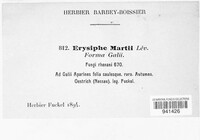 Erysiphe martii image